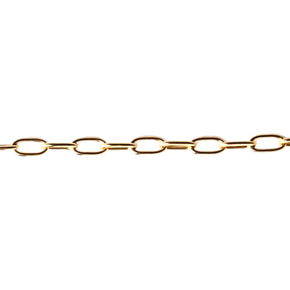 Gold Power Chain (+$15)